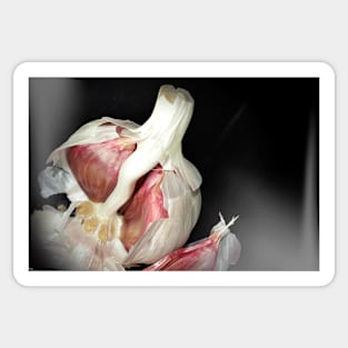 Garlic Still Life Sticker